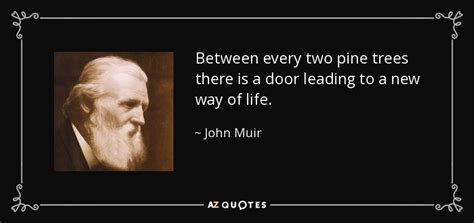 TOP 25 PINE TREES QUOTES (of 74) .